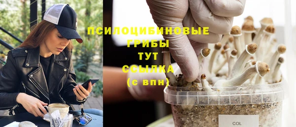 экстази Белокуриха