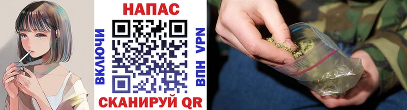 Бошки Шишки семена  Купить  Абакан 